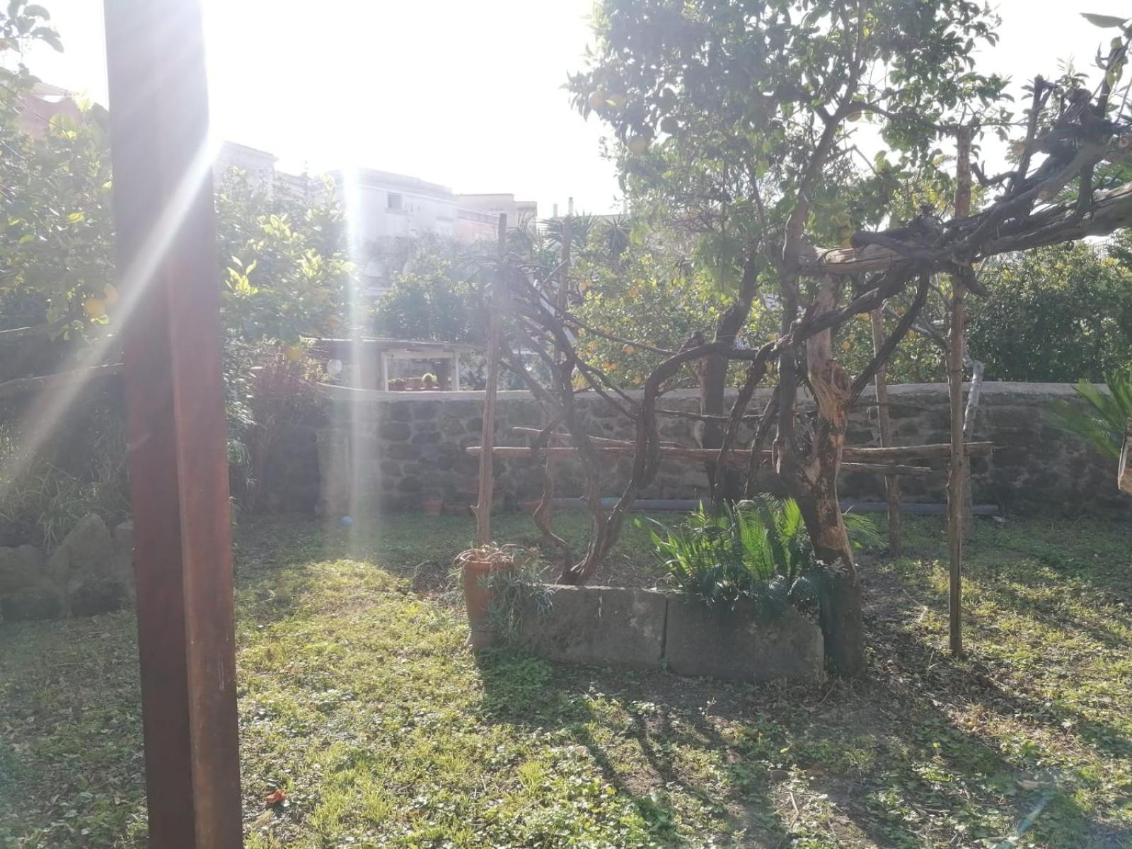 Dimora Coloniale B&B Forio  Exterior photo