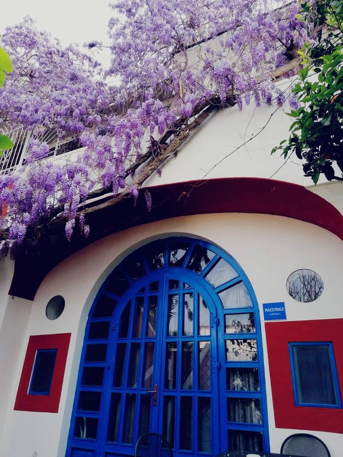 Dimora Coloniale B&B Forio  Exterior photo